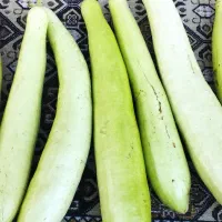 کدو خورشتی محلی