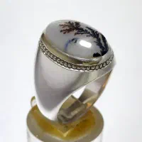 انگشتره شجره سلیمانی