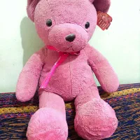 خرس|کلکسیون و سرگرمی|فولادشهر, فولادشهر|دیوار