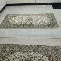 فرش|فرش|اردبیل, |دیوار