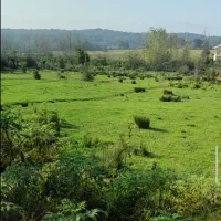 زمین-مسکونی-گیلان-چماچا