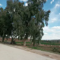 فروش واحد ۱۲۰ متری ۳ خوابه طبقه اول|فروش آپارتمان|قصرشیرین, |دیوار