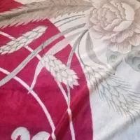 پتو|رختخواب، بالش، پتو|مشهد, شهید قربانی|دیوار