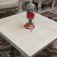 مبلمان درحد نو کار نکرده ۷نفره به قیمت مناسب|مبلمان خانگی و میز عسلی|ماسال, |دیوار
