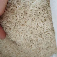 برنج مینودشت