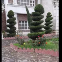 اجرا‌وامور‌باغبانی‌وفضای‌سبز|خدمات باغبانی و درختکاری|گرگان, |دیوار