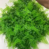 گرینوال خارجی و فنس دیواری برگی|گل مصنوعی|یزد, |دیوار