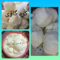 لبنیات محلی طبیعی خالص به شرط