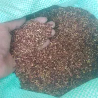 تخم جارو و جاروی دستی مشهدی