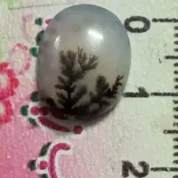 سنگ شجر|جواهرات|زنجان, |دیوار