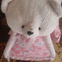 شابوی|تخت و صندلی بچه|ارومیه, |دیوار