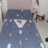 تخت نوجوان باابرتخت