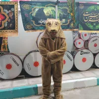 لباس شیر تعزیه مهریز