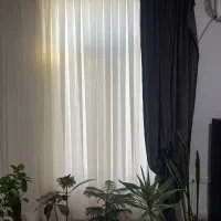 پرده|پرده، رانر، رومیزی|سیرجان, |دیوار