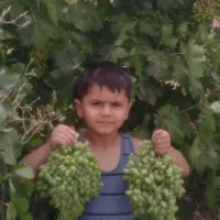 نهالستان حاج عبدالله