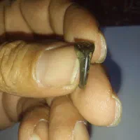 مهره گبری،نشان|کلکسیون اشیاء عتیقه|شیراز, امام حسین|دیوار