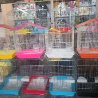 استخدام آقا وخانم