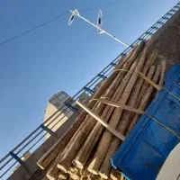 خرید چوب سقفی و تخریب ساختمان|خدمات باغبانی و درختکاری|تبریز, |دیوار