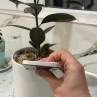 13normal *فروش فوری*|موبایل|بیرجند, |دیوار