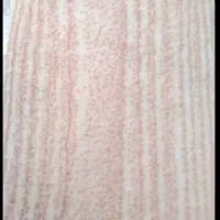 موکت طرح پارکت