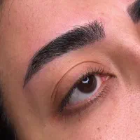 مدل میکرو رایگان