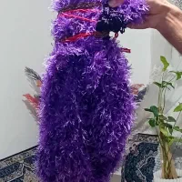 تاب ننوی مسافرتی