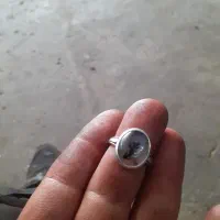 انگشترشجر|کلکسیون و سرگرمی|کرمانشاه, |دیوار