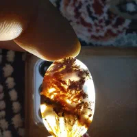 سنگ پاییزی شجر