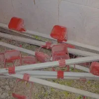 قفس بلدرچین تخم گذار|لوازم جانبی حیوانات|شوشتر, |دیوار