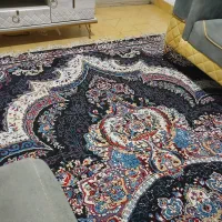 قالی ۱۲متری ۳۰۰شانه سالم