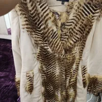 پالتو و کاپشن|لباس|قم, شاه سید علی|دیوار