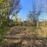 سود-قطعی-درساخت-زمین-600متری-لوکیشن-ممتاز