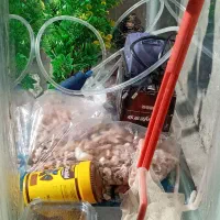 آکواریوم با تمام وسایل|ماهی|مراغه, |دیوار