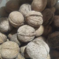 گردو و شیره انگور