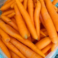 آبمیوه گیری نو