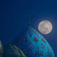 زمین فوری
