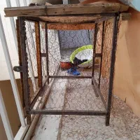 قفس اهنی