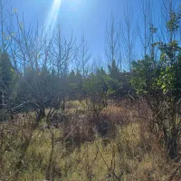 زمین-300-متری-اقساطی-تفکیکی