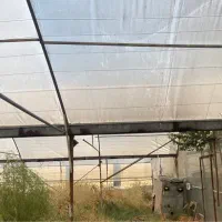 فروش گل خانه|فروش دفتر صنعتی، کشاورزی، تجاری|کازرون, |دیوار