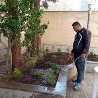 باغبانی سمپاشی هرس کاری تیلرزنی در تمام نقاط مشهد|خدمات باغبانی و درختکاری|مشهد, کوثر|دیوار