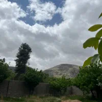 باغ