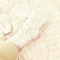 خاک اره صنوبر