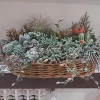 سبد کاکتوس دست ساز