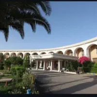 ۲عددچنگال مرغ خوری کلکسیونی آلمانی وغیره۲۰۰|کلکسیون اشیاء عتیقه|شاهین‌شهر, شهرک هشت بهشت|دیوار