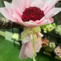 پخش عمده داوودی و رز هلندی و آلستر