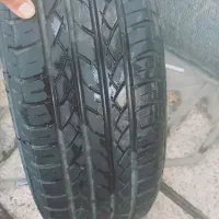 لاستیک