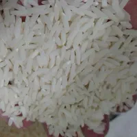 برنج هاشمی|خوردنی و آشامیدنی|قم, باسکول|دیوار