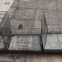 قفس سهره