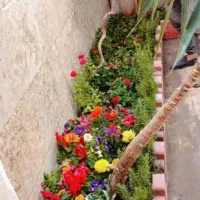 خدمات باغبانی باغچه کاری گلکاری کاشت گل وگیا خاک|خدمات باغبانی و درختکاری|شهریار, شهرک وائین|دیوار