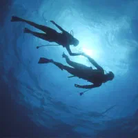 آموزش غواصی و اسنورکلینگ